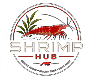 new shrimp hub logo2
