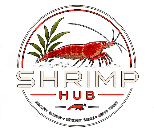 new shrimp hub logo2